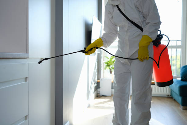 Certified Mold Removal in East Meadow, NY